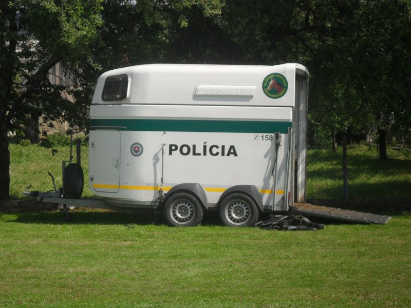 Den deti 2017   138.JPG